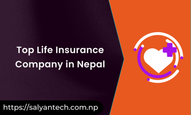 Top Life Insurance Company in Nepal 2023