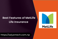 Best Features of MetLife Life Insurance 2023