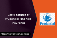 Best Features of Prudential Financial Insurance 2023