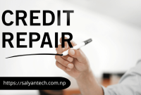 Credit Repair: How to Fix Bad Credit on Your Own | Client Dispute Manager