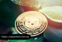 Shiba Inu Coin Price Prediction 2022, 2025, 2030, 2040, 2050