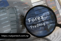 Helpful tips for Finding the right Forex Trading Program
