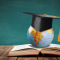 Education Lead Generation & Study Abroad Marketing Solutions by Bloom Agency