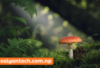 Are Magic Mushrooms Safe For Fighting Depression?